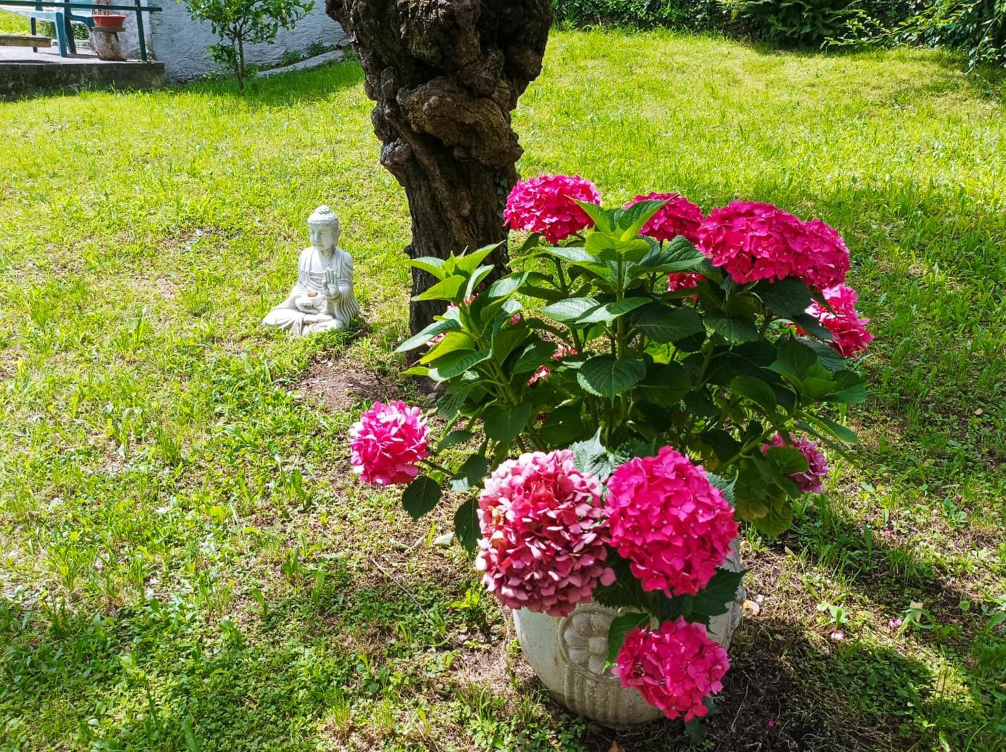 Tre Terre Ferienwohnung Pianello Del Lario Exteriör bild
